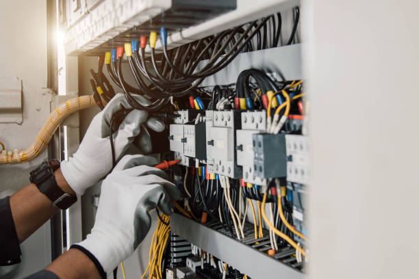 Best Electric Panel Repair  in Smithville, MO